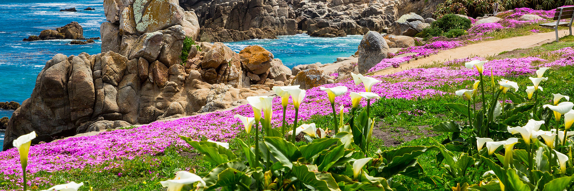 Monterey Things to Do with Kids & Families | Spindrift Inn