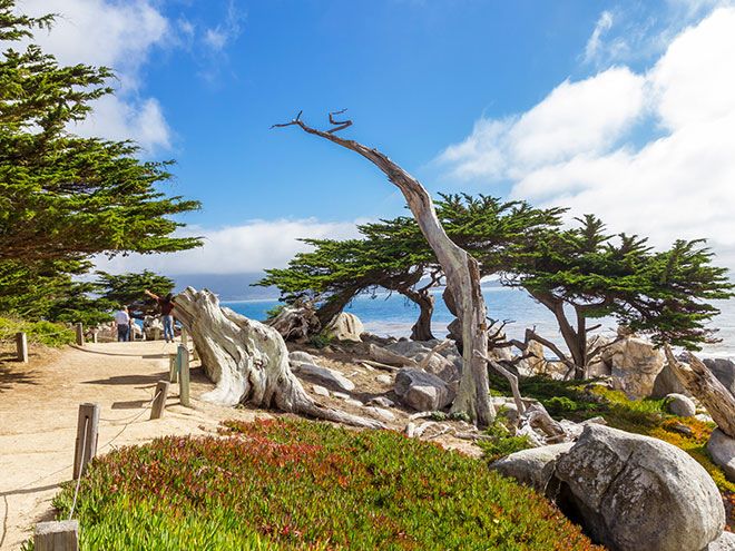 17-Mile Drive at Monterey